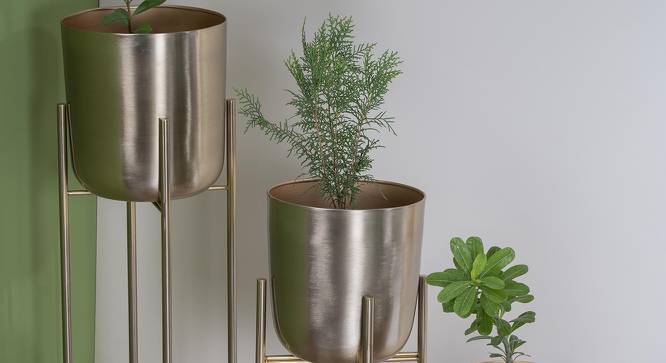 U-Amrita Gold Planter Set Of 3 (Multicolor) by Urban Ladder - Design 1 Side View - 746825