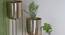 U-Amrita Gold Planter Set Of 3 (Multicolor) by Urban Ladder - Design 1 Side View - 746825