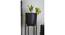 U-Amrita Matt Black Planter Set Of 3 (Multicolor) by Urban Ladder - Design 1 Side View - 746827