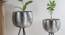 U-Ati Hammered Nickel Planter Set Of 2 (Multicolor) by Urban Ladder - Ground View Design 1 - 746834