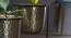 U-Krisha Three In One Gold & Black Planter (Multicolor) by Urban Ladder - Ground View Design 1 - 746838