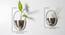 U-Saira Nickel Wall Planter Set Of 2 (Multicolor) by Urban Ladder - Design 1 Dimension - 746862