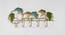U-English Ginko Wall Hook (Multicolor) by Urban Ladder - Front View Design 1 - 746870