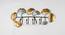 U-Ash Ginko Wall Hook (Multicolor) by Urban Ladder - Front View Design 1 - 746873