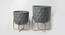 U-Ekta Grey &Gold Planter Set Of 2 (Multicolor) by Urban Ladder - Front View Design 1 - 746895