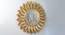 M-Leona Mirror Decor (Multicolor) by Urban Ladder - Front View Design 1 - 746908