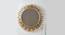 M-African Daisy Mirror Decor (Multicolor) by Urban Ladder - Front View Design 1 - 746913