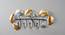 U-Ash Ginko Wall Hook (Multicolor) by Urban Ladder - Design 1 Side View - 746914