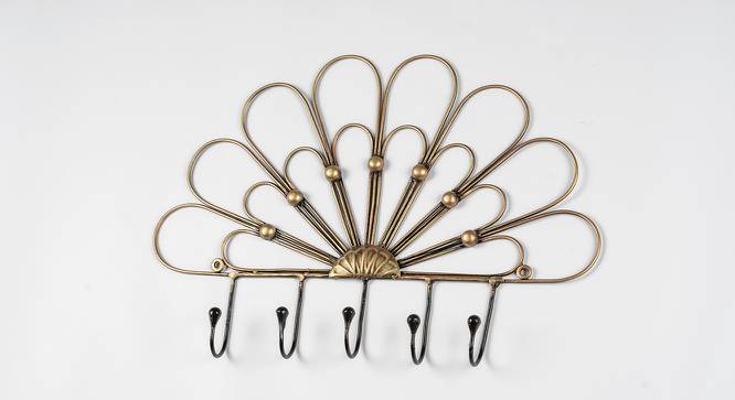 U-Peacock Feather Wall Hook (Multicolor) by Urban Ladder - Front View Design 1 - 746924