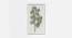 W-Olive Fame Wall Frame Decor (Multicolor) by Urban Ladder - Front View Design 1 - 746986