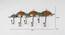 U-Umbrella Wall Hook (Multicolor) by Urban Ladder - Design 1 Dimension - 747008