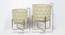 U-Ekta Beige & Gold Planter Set Of 2 (Multicolor) by Urban Ladder - Design 1 Dimension - 747025