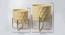 U-Ekta Sand & Gold Planter Set Of 2 (Multicolor) by Urban Ladder - Design 1 Dimension - 747027