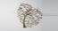 W- LARA BIRD TREE WALL Decor (Multicolor) by Urban Ladder - Front View Design 1 - 747068