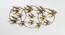 W-Flying Canyon Wall Decor (Multicolor) by Urban Ladder - Design 1 Side View - 747145