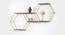 U-Deeva Wall Shelves (Multicolor) by Urban Ladder - Front View Design 1 - 747185