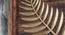 W-Pecan Leaf Wall Decor (Multicolor) by Urban Ladder - Design 1 Side View - 747245