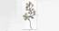 W-Picchu Tree Wall Decor (Multicolor) by Urban Ladder - Design 1 Dimension - 747266