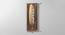 W-Alice Leaf Wall Decor (Multicolor) by Urban Ladder - Design 1 Dimension - 747328