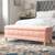 Sofas & Recliners
