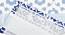 Valleri Table Cover  Blue (Blue) by Urban Ladder - Ground View Design 1 - 748814