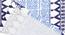 Alankaar Table Cover  Blue (Blue) by Urban Ladder - Ground View Design 1 - 748826