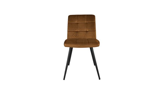Brio Lounge Chair in Brown Color with Velvet Fabric (Brown) by Urban Ladder - Design 1 Side View - 749757