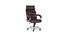 Rio Leatherette Office chair in Brown Color (Brown) by Urban Ladder - Front View Design 1 - 749951