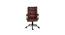 Pint Leatherette Office Chair In Brown Color (Brown) by Urban Ladder - Design 1 Side View - 749996