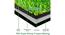 Artificial Grass ( Size - 45x75 cm, Color - Green, Pack of 1 )-green (Green) by Urban Ladder - Rear View Design 1 - 752562