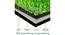 Artificial Grass ( Size - 2x2 Ft, Color - Green, Pack of 1 )-green (Green) by Urban Ladder - Rear View Design 1 - 752639
