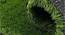 Artificial Grass ( Size - 2x7 Ft, Color - Green, Pack of 1 ) (Green) by Urban Ladder - Ground View Design 1 - 753301