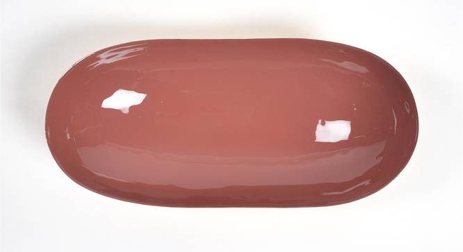 Enamelled Iron Umber Long Bowl (Multicoloured) by Urban Ladder - Front View Design 1 - 754388