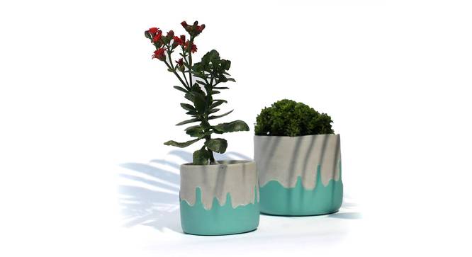 Playful Teal Concrete Planters -Set of 2 (Blue) by Urban Ladder - Front View Design 1 - 754703