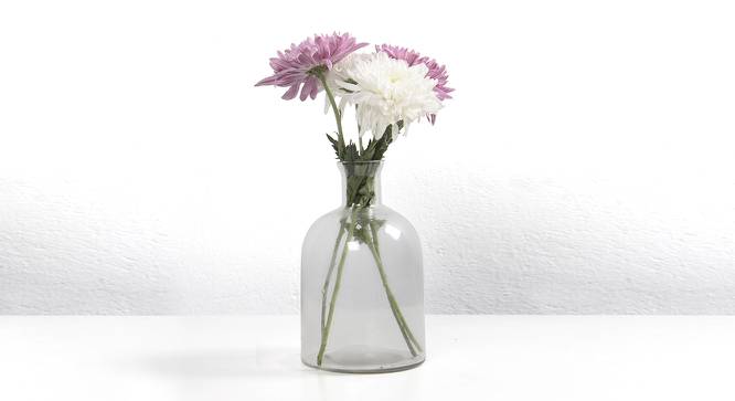 Clear Glass Decorative Glass Vase (Clear) by Urban Ladder - Front View Design 1 - 754710