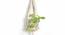 Macrame Bohemian Planter (White) by Urban Ladder - Design 1 Side View - 754715