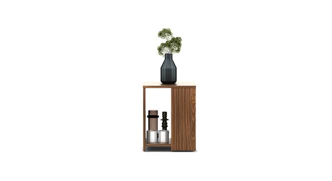 Maple End Table (Walnut Finish) by Urban Ladder - Design 1 Front View - 756016