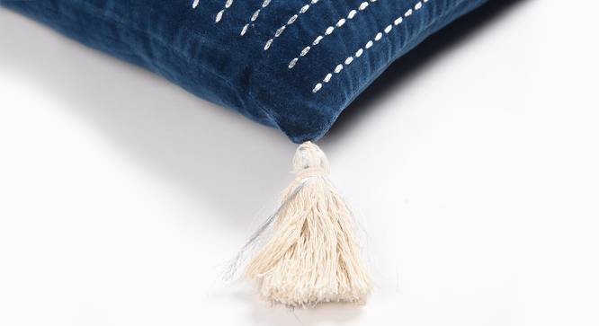 Tasseled and Embroidered Blue-White Cushion cover (Blue) by Urban Ladder - Design 1 Side View - 756554