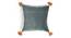 Tasseled and Embroidered Grey-Green Cushion cover (Grey) by Urban Ladder - Ground View Design 1 - 756607