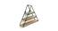 Iris Triangle Wall Rack (Brown) by Urban Ladder - Front View Design 1 - 757652