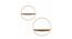 Bracken Round Wall Rack (Gold) by Urban Ladder - Design 1 Side View - 757692