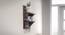 Scout Rectangular Wall Rack (Brown) by Urban Ladder - Design 1 Side View - 757781