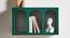 Pike Rectangular Wall Rack (Green) by Urban Ladder - Design 1 Side View - 757788