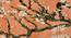 Peach and Green Floral Polyester Carpet (22X55 inches) (Multicolor, 2 x 5 Feet Carpet Size) by Urban Ladder - Ground View Design 1 - 759243