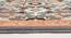 Peach and Grey Traditional Polyester Carpet (4X6 Feet) (Multicolor, 4 x 6 Feet Carpet Size) by Urban Ladder - Rear View Design 1 - 759608