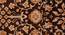 Brown and Beige Traditional Polyester Carpet (3X5 Feet) (Multicolor, 3 x 5 Feet Carpet Size) by Urban Ladder - Ground View Design 1 - 759723