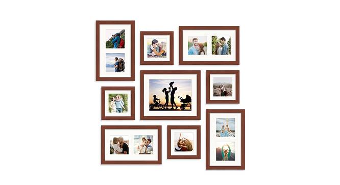 Set of 9 Brown Wall Photo Frames - ASPWT23849 (Brown) by Urban Ladder - Front View Design 1 - 764452