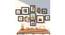 Mercury Set of 11 Elite Wall Photoframes for Home Décor Black Photo Frame with 2 Oval Shape Frames for Wall and Living Room Decoration - ASPWT24257 (Multicolor) by Urban Ladder - Design 1 Side View - 764573