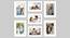 Set of 7 Individual White Photo Frame - ASPWT22597WH (White) by Urban Ladder - Front View Design 1 - 764886