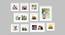 Set of 10 White Wall Photo Frames - ASPWT23854 (White) by Urban Ladder - Front View Design 1 - 764954
